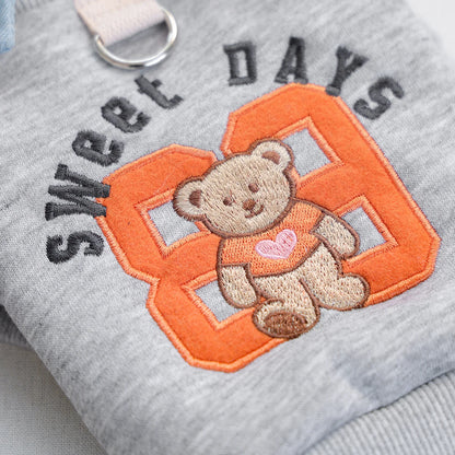 Preppy Bear Pet Sweatshirt, Gray with Denim Collar, Embroidery, D-Ring Included, Pullover Two-Legged Outfit for Small Dogs &Cats