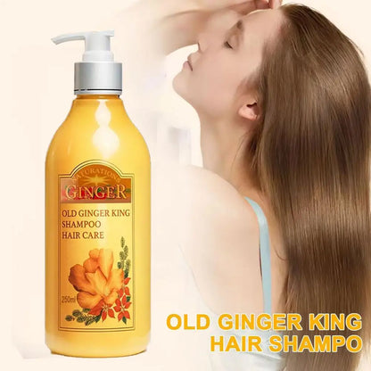 250ml Old Ginger Juice Hair Shampoo Professional Hair Scalp Treatment Oil Control Dense Anti Hair Loss