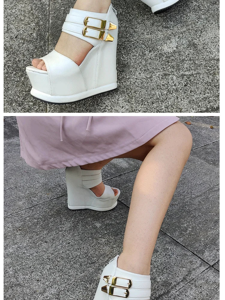 Casual Wedges Thick Platform Sandals 2024 New Women Stage Performance High Heels 14CM Summer Cross-dressing Shoes With Zipper