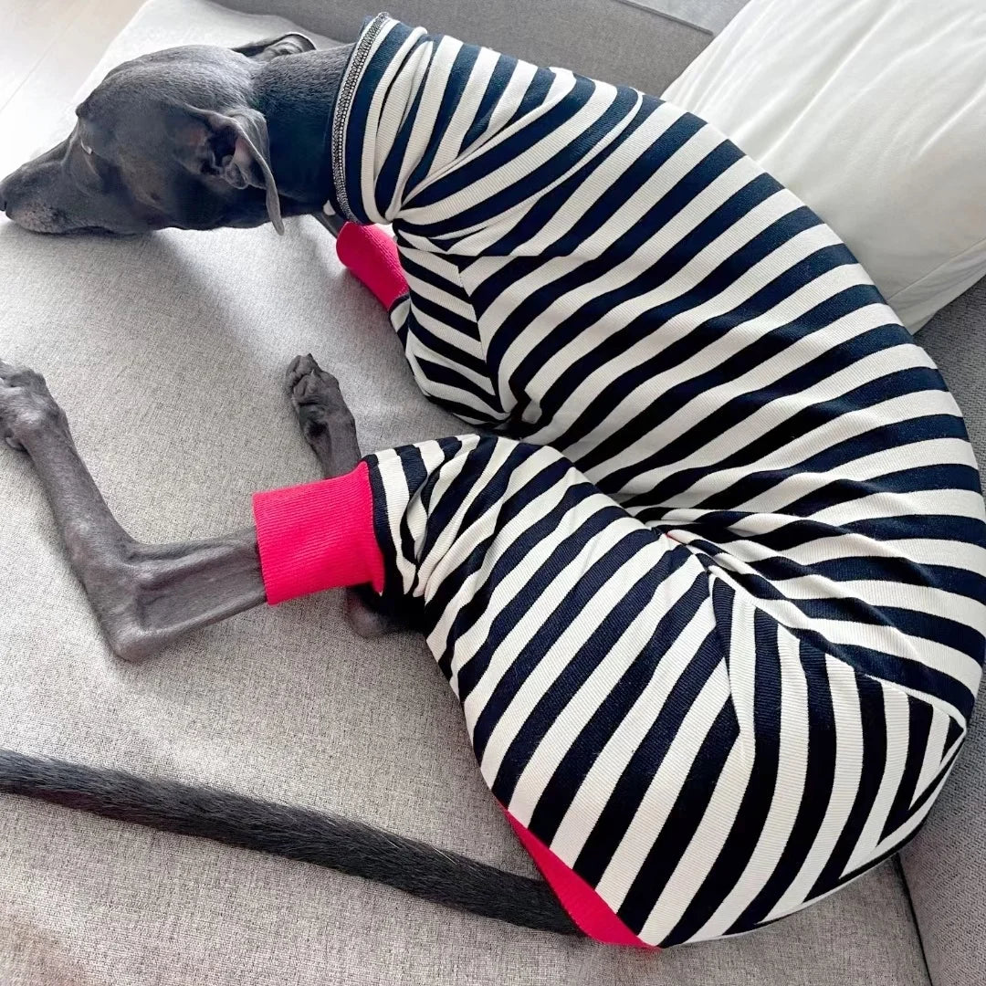 4-legged Cotton Coat for Dog Greyhounds Loungewear Spring Autumn Whippet Dog Black Striped Sweatshirt Bellington High-Neck Shirt
