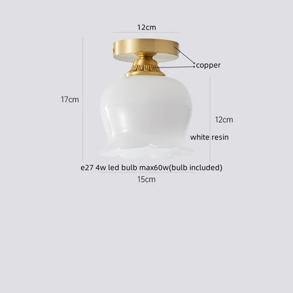 IWHD Home Lighting LED Ceiling Lights Decoration Aisle Porch Living Room Light Fixtures Nordic Ceiling Lamp Resin Copper Lustres