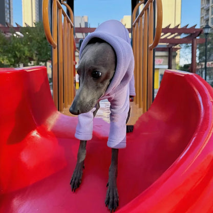 Winter Clothes for Dogs Warm 4-legged Purple Fleece Sweatshirt for Italian Greyhound Whippet Thick Solid Color Coat in Spring