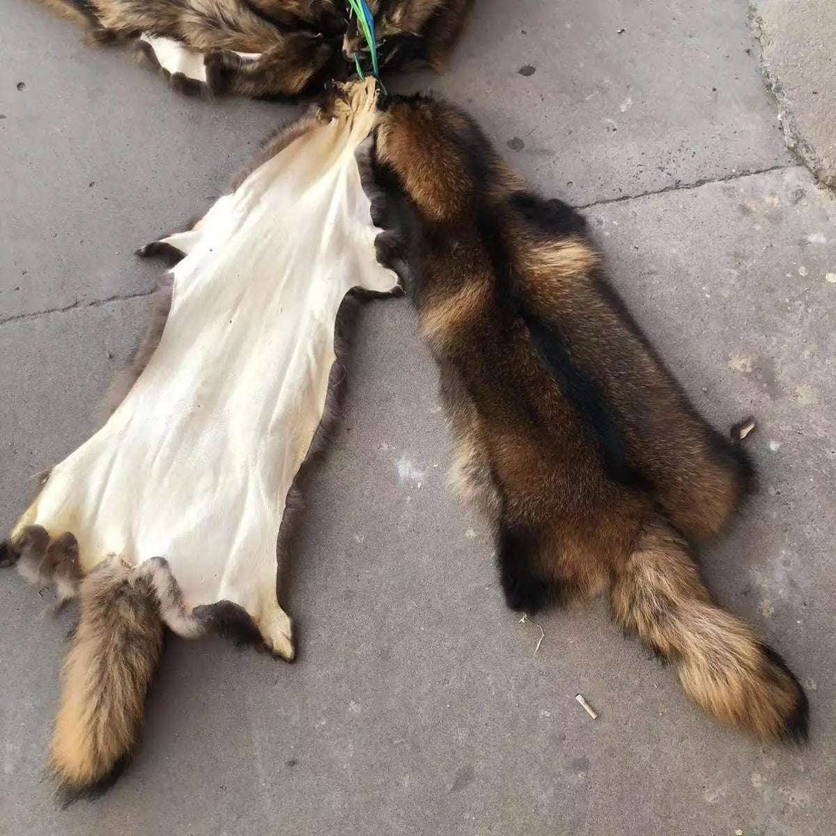 Animal fur pelts real Raccoon dog fur skins high quality Chinese raccoon skin fur