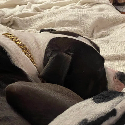 Heavy Duty 19mm Stainless Steel Dog Choke Chain Collar Pet Necklace Sliver 18K Gold Dog Cuban Link for Pit Bull Mastiff Bulldog