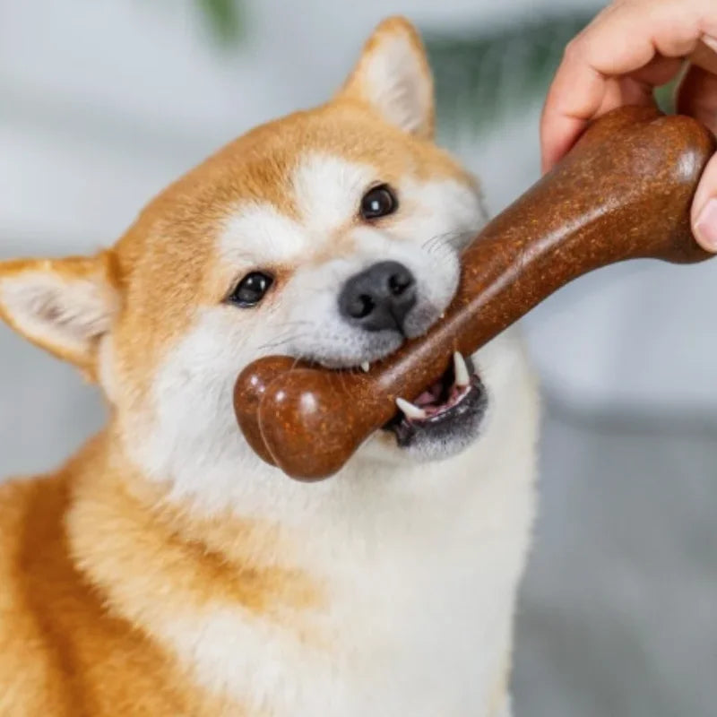 Natural Non-Toxic Indestructible Dog Bone Chew Toy Anti-Bite Puppy Teething Chew Toy for Small Medium Large Dogs Pet Chewbone