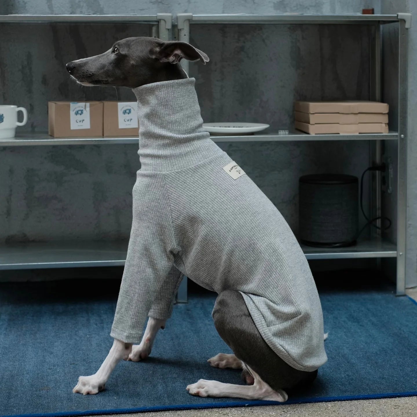 Spring Clothing for Italy Greyhound  Autumn Soft High-Neck Cotton Grey T-shirt for Whippet Winter Long Sleeved Pajamas for Dogs