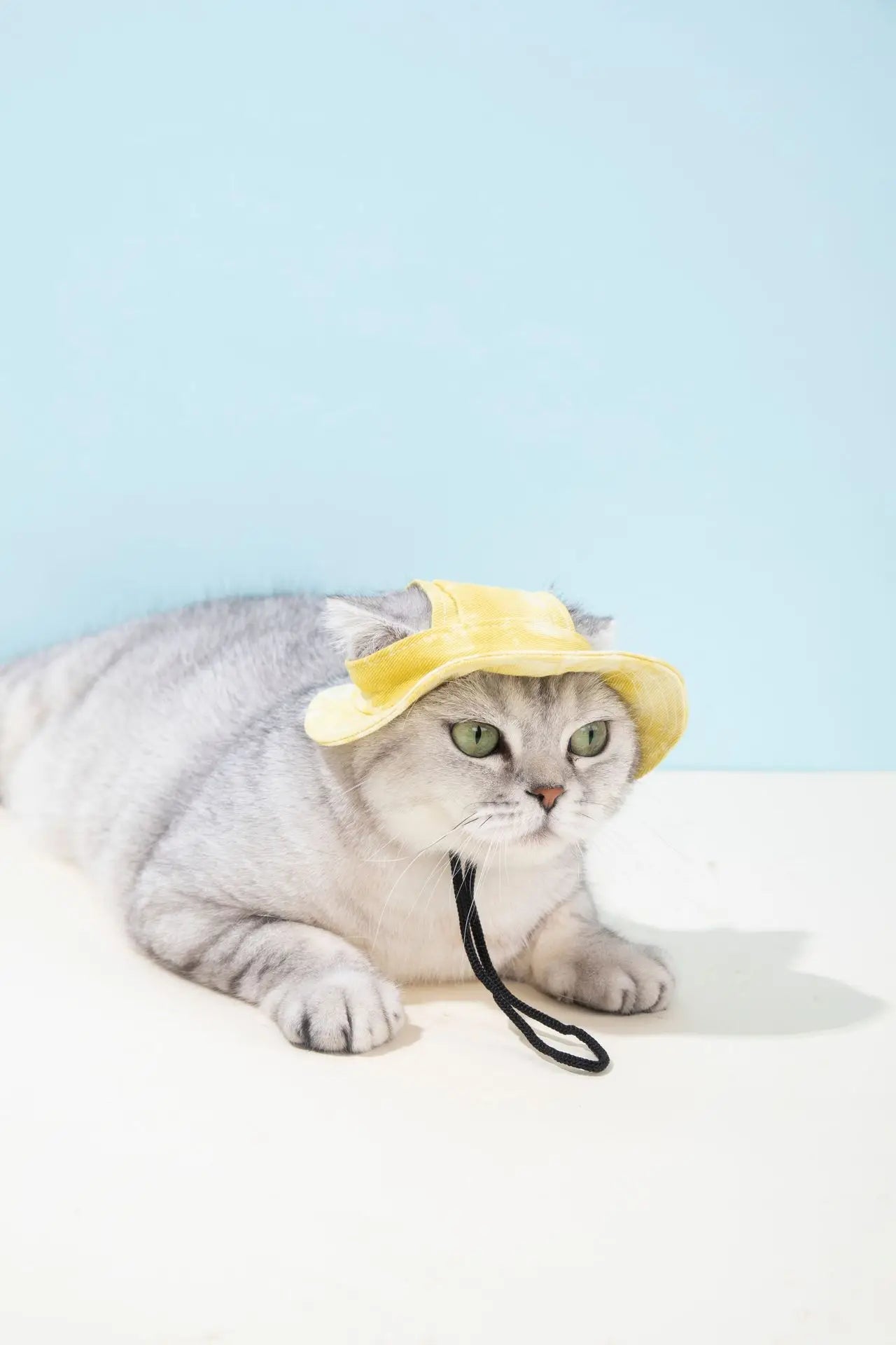 Pets Hat with Ear Holes Adjustable Baseball Cap for Medium Small Dogs Summer Dye Cats Sun Cap Pet Outdoor Hat Pet Supplies