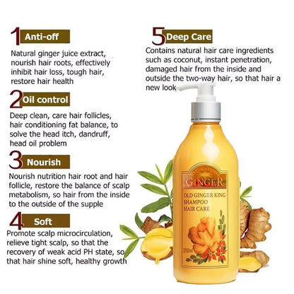 250ml Old Ginger Juice Hair Shampoo Professional Hair Scalp Treatment Oil Control Dense Anti Hair Loss