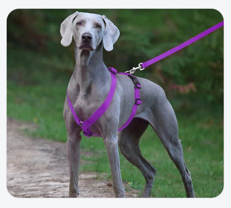 Adjustable Soft Lightweight H-shaped Dog Harness Washable Outdoor Traveling Explosion-proof Harness for Dog Arnés Para Perro