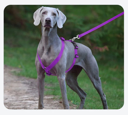 Adjustable Soft Lightweight H-shaped Dog Harness Washable Outdoor Traveling Explosion-proof Harness for Dog Arnés Para Perro