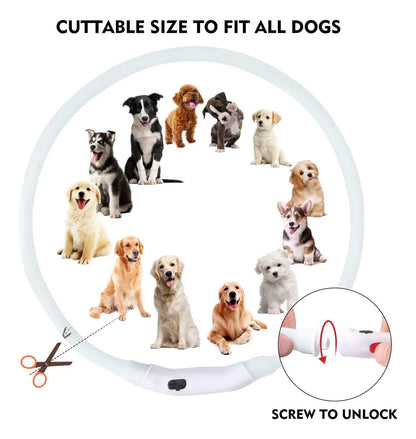 Adjustable USB Rechargeable LED Dog Collar - Multi-Color, 4 Flashing Modes, Cut-To-Fit Design for Nighttime Safety & Visibility