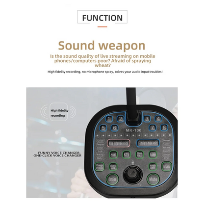 New MK100 Voice Changer,Live Voice Card Voice Changer, Handheld Microphone Voice Changer Sound Card Voice Changer