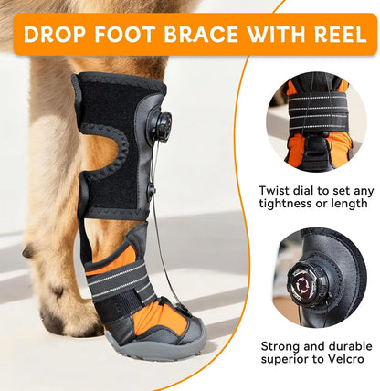 No KnucklingCorrective Dog Shoe,Drop Foot Support with Adjustable Reel, Paw Leg Brace Support - Lift Toes for Arthritis,Mobility