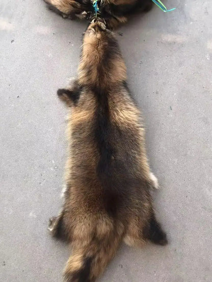 Animal fur pelts real Raccoon dog fur skins high quality Chinese raccoon skin fur