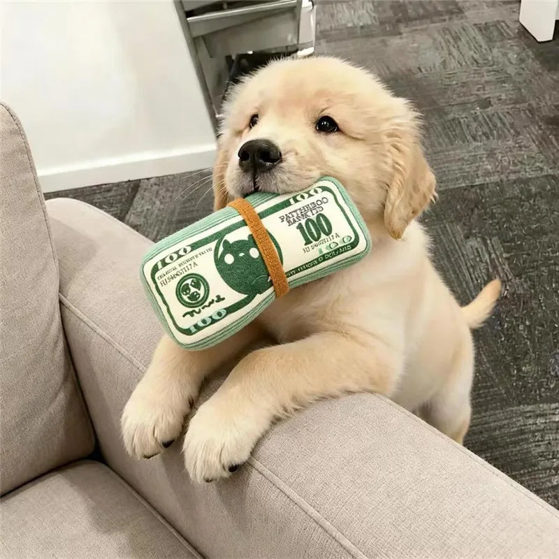 Plush Chew Toy for Dogs Money Shape Bite Resistant Squeaky Toy For Puppy Durable Chew-Resistant Interactive Dog Toy