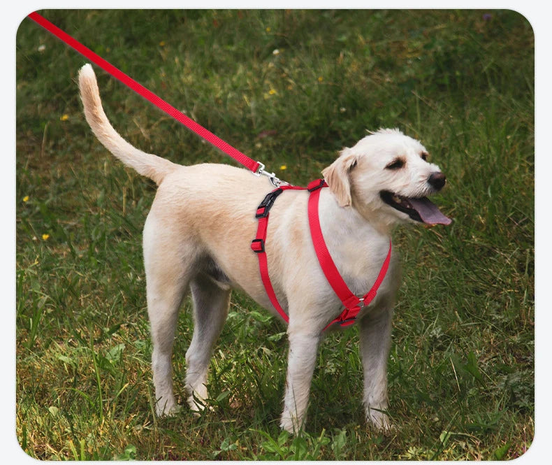 Adjustable Soft Lightweight H-shaped Dog Harness Washable Outdoor Traveling Explosion-proof Harness for Dog Arnés Para Perro