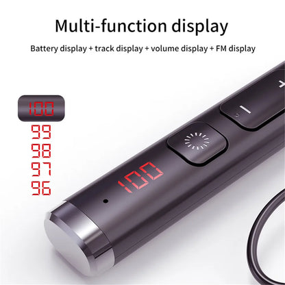 Bluetooth 5.0 Earphones Neckband Headsets Wireless Headphones HiFi Stereo Noise Reduction Earbuds Support BT TF Card FM Radio