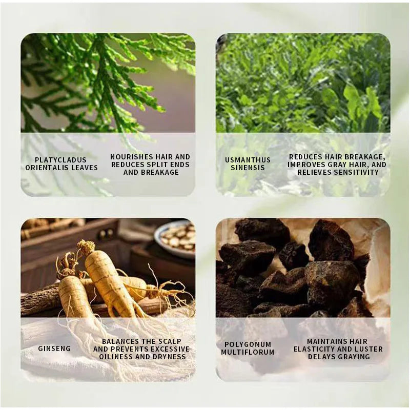 Arborvitae Leaf Shampoo Bar Usman Herbs Strengthen Hair Thicken Hair  Oil Control Anti-dandruff Oriental Natural Shampoo Bar