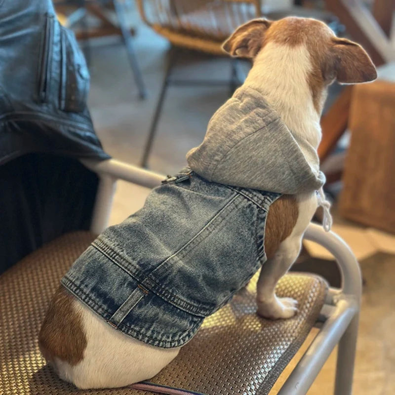 Cool Dog Jean Jacket Vest with D-Ring Hoodies for Small Medium Dogs, Spring Dog Clothes Puppy Denim Harness Coat for Walking