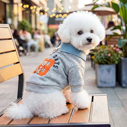 Preppy Bear Pet Sweatshirt, Gray with Denim Collar, Embroidery, D-Ring Included, Pullover Two-Legged Outfit for Small Dogs &Cats