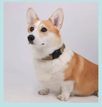 Dog Collar with Airtag Holder Ultra-Durable Comfortable Padded Heavy Duty Dog Collars for Small Medium Large Dogs