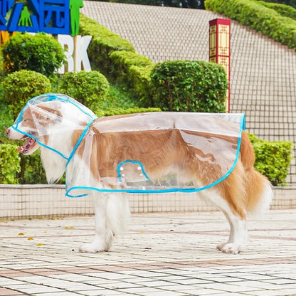 Dogs going out, transparent waterproof raincoat with hat pet raincoat