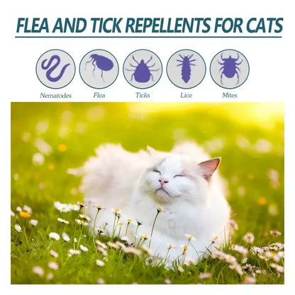 50ml Pet  Flea Tick Agent for Cats, Dogs, and Dogs. Extracorporeal Deworming  Cleaning Agent for Lice, Ticks, and Ticks
