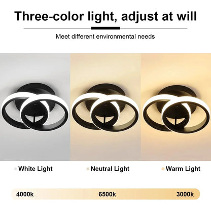 Led Low Noise Ceiling Fan Chandelier Living Dining Table Room Bedroom Kitchen Lights Black White Home Decoration Lamps Fixtures