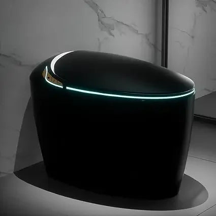 Luxury Smart Toilet With Bidet Seat, Elongated Egg Shaped Modern Design, Auto Open Auto Flush, Adjusted Heated Seat, Warm Water