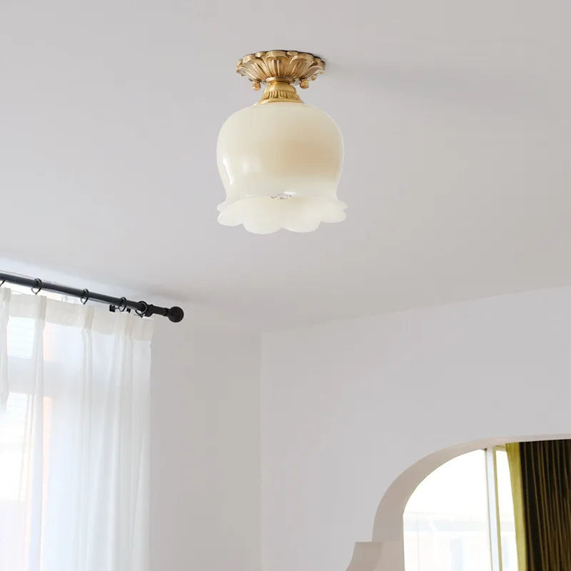 IWHD Home Lighting LED Ceiling Lights Decoration Aisle Porch Living Room Light Fixtures Nordic Ceiling Lamp Resin Copper Lustres