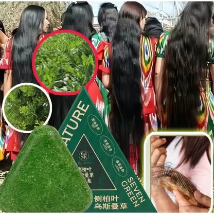 Arborvitae Leaf Shampoo Bar Usman Herbs Strengthen Hair Thicken Hair  Oil Control Anti-dandruff Oriental Natural Shampoo Bar