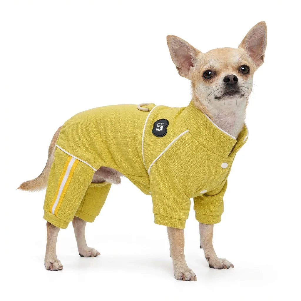 Breathable Cotton Dog Jumpsuit, Striped Puppy Tracksuit with D-Ring, Soft Pet Pajamas for Small Dogs 2026 New Chihuahua Apparel