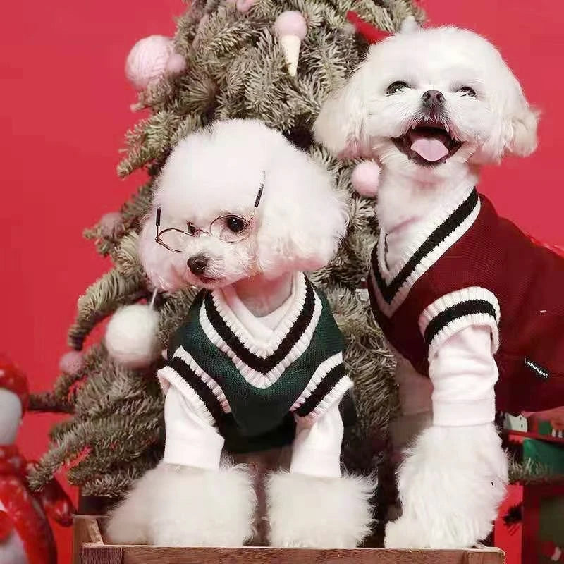Winter Warm Pet Dog Sweater College Style V-neck Puppy Knitwear For Small Dogs Puppy Vest Clothes Kitty Jacket Outfits