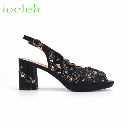 New Fashionable Coffee Color Peep Toe Ladies Shoes Matching Bag Set For Nigerian Women Wedding Party Pump