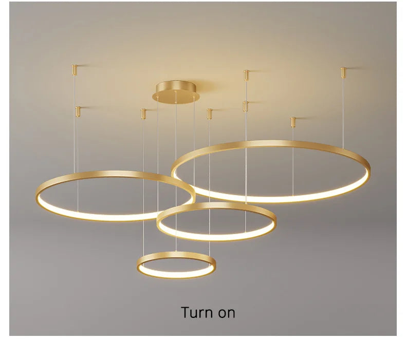Living Room Ring Pendant Lights Acrylic Led Restaurant Chandelier Modern Minimalist Art Creative Personality Net Red Custom Lamp