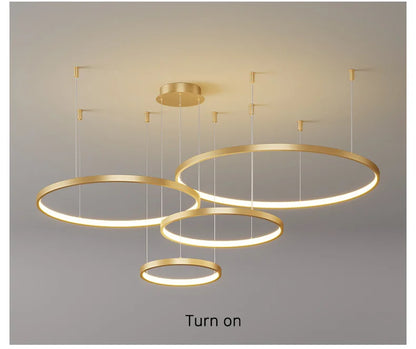 Living Room Ring Pendant Lights Acrylic Led Restaurant Chandelier Modern Minimalist Art Creative Personality Net Red Custom Lamp
