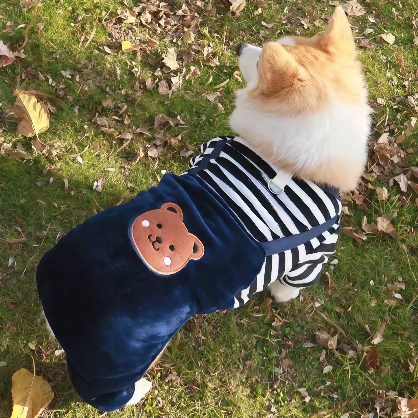 Autumn Winter Pet Dog Soft Fleece Clothes Warm Jumpsuit Coat for Small Medium Large Dog Cat Puppy Jacket Sweater with Leash Ring