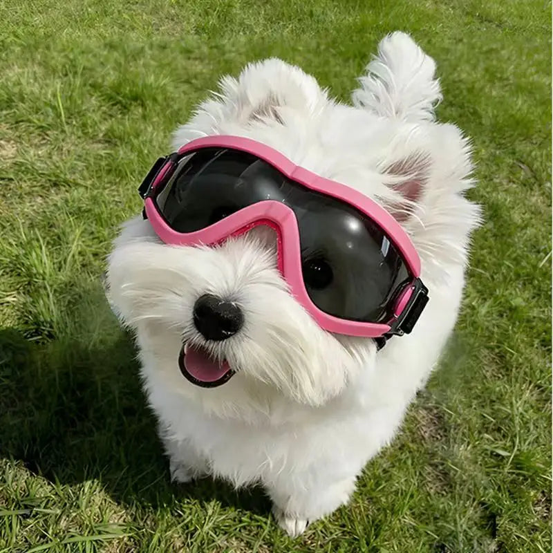 These Pet Dog Sunglasses Can Block Ultraviolet Rays, and the Dog Goggles Are Windproof and Dustproof.