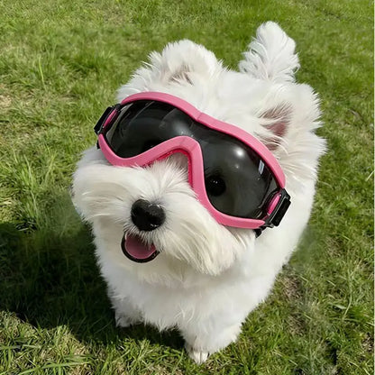 These Pet Dog Sunglasses Can Block Ultraviolet Rays, and the Dog Goggles Are Windproof and Dustproof.