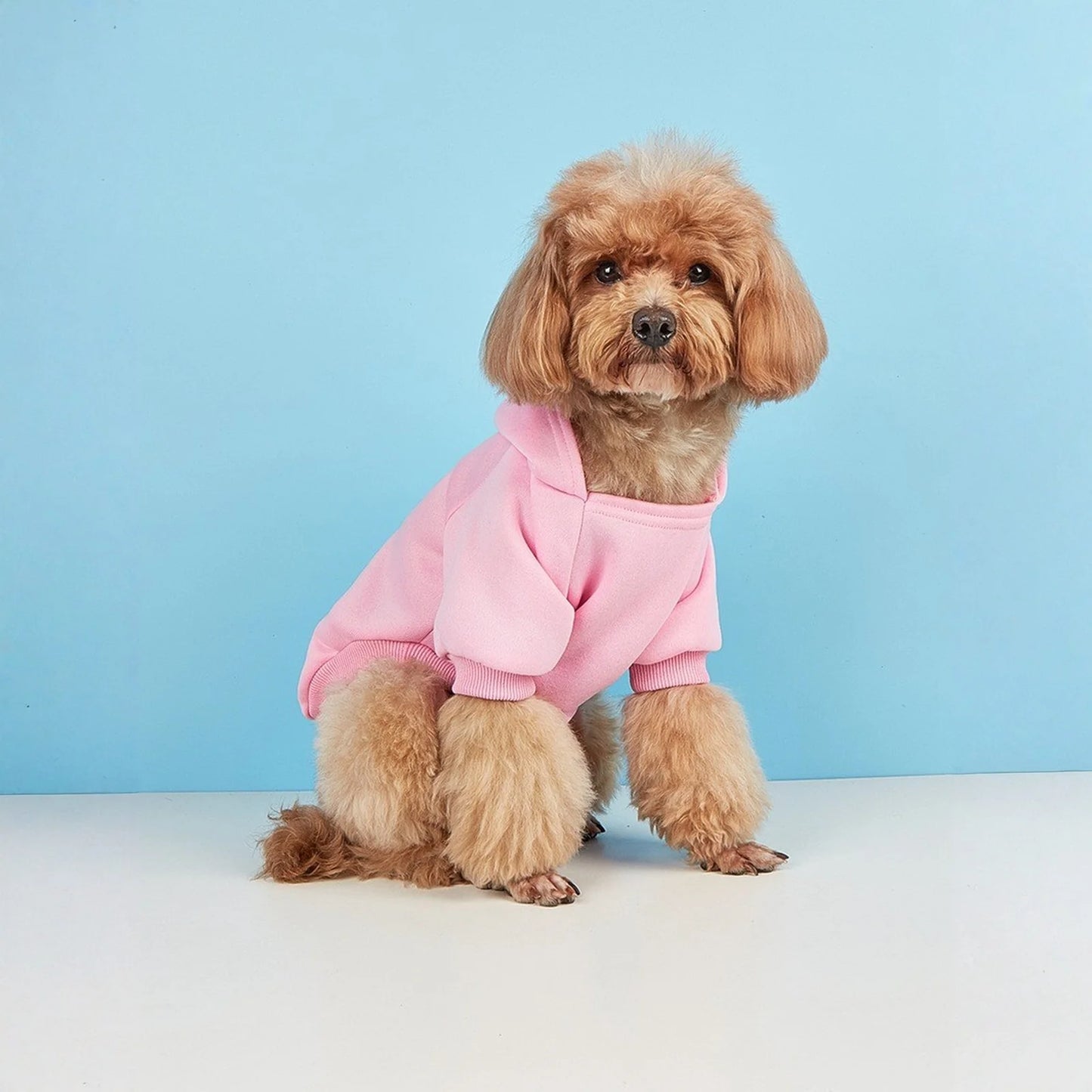 Winter Dog Clothes Sport Hoodies Sweatshirts Warm Coat Clothing Autumn For Small Medium Large Dogs Big Dogs Cat Pets PUppy