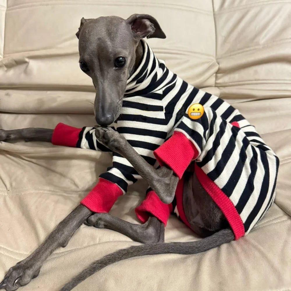 4-legged Cotton Coat for Dog Greyhounds Loungewear Spring Autumn Whippet Dog Black Striped Sweatshirt Bellington High-Neck Shirt