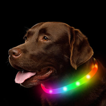 Adjustable USB Rechargeable LED Dog Collar - Multi-Color, 4 Flashing Modes, Cut-To-Fit Design for Nighttime Safety & Visibility